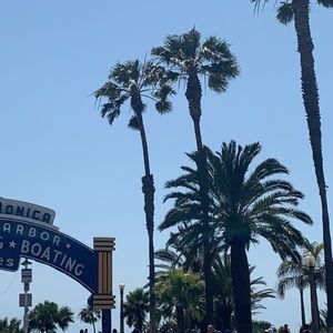 Meet your Posher, Angelica